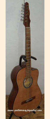 Guitarra Rockera modelo CGE imagen 4